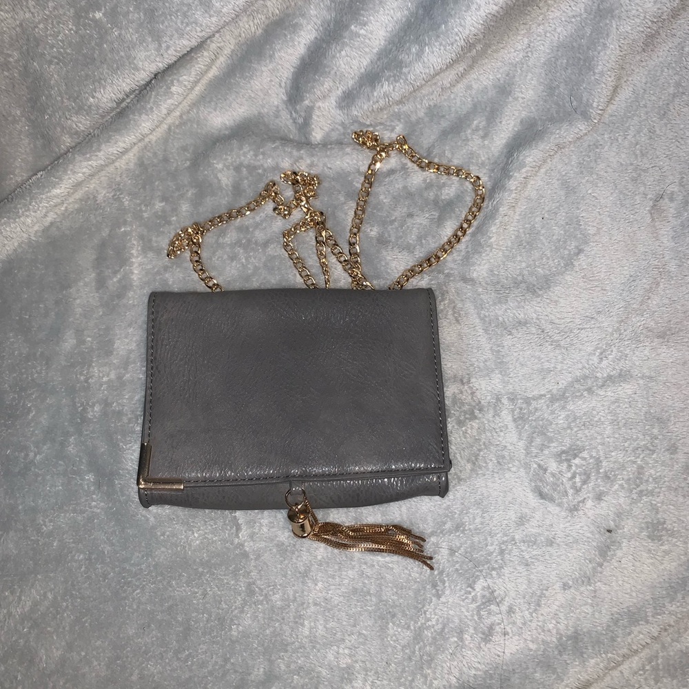 Gray purse